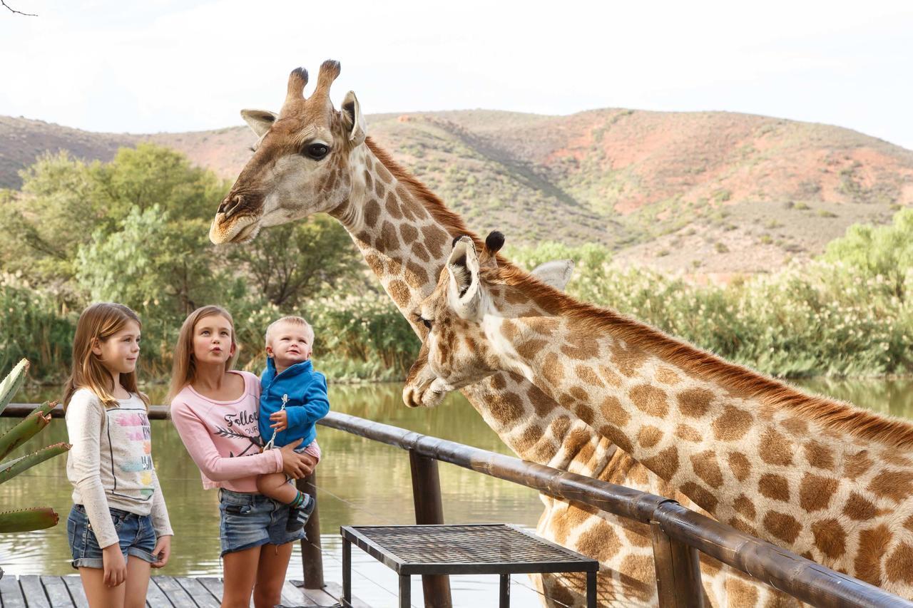 Chandelier Game Lodge オーツホーン エクステリア 写真