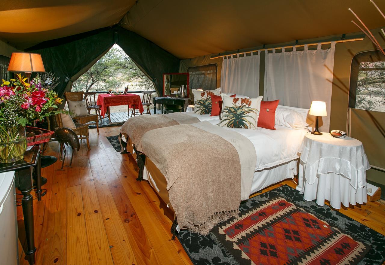 Chandelier Game Lodge オーツホーン エクステリア 写真