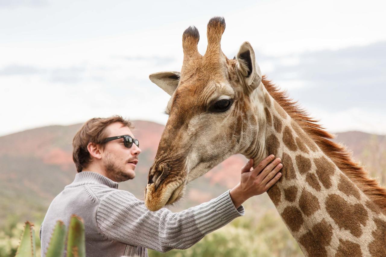Chandelier Game Lodge オーツホーン エクステリア 写真
