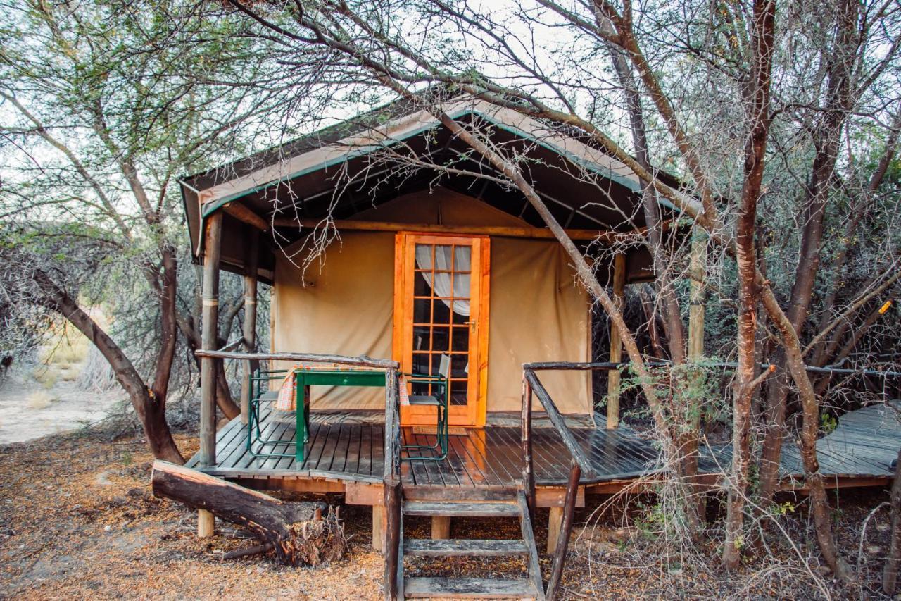 Chandelier Game Lodge オーツホーン エクステリア 写真